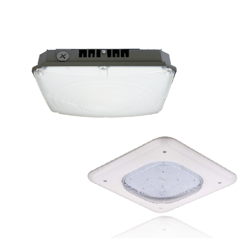 Canopy New1 800×800